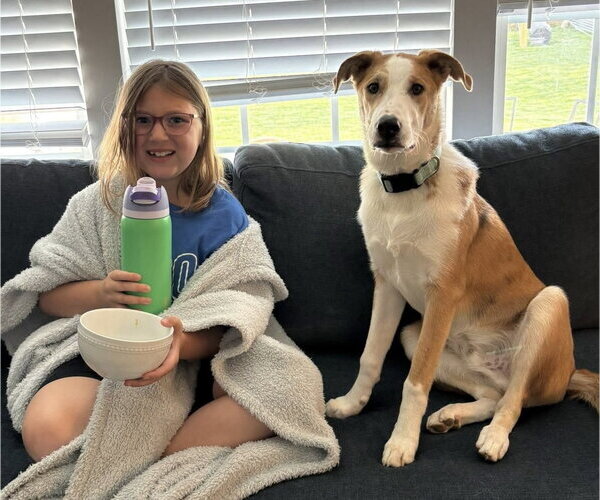 Medium Photo #2 Australian Shepherd-Unknown Mix Puppy For Sale in Germantown, OH, USA