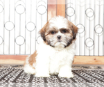 Image preview for Ad Listing. Nickname: Fanny
