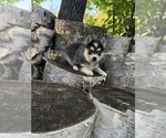 Image preview for Ad Listing. Nickname: Sparks