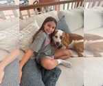 Small #3 Mutt