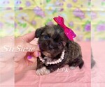 Image preview for Ad Listing. Nickname: Tiny Suzie