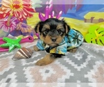 Image preview for Ad Listing. Nickname: Epic