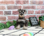 Image preview for Ad Listing. Nickname: Elle
