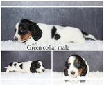Image preview for Ad Listing. Nickname: Green collar