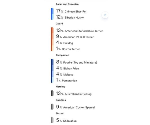 Medium Photo #12 American Staffordshire Terrier-Unknown Mix Puppy For Sale in Corona, CA, USA