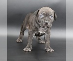 Image preview for Ad Listing. Nickname: Sandy