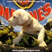 Small Photo #123 Dogo Argentino Puppy For Sale in JANE, MO, USA