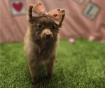Image preview for Ad Listing. Nickname: Cubby