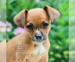Image preview for Ad Listing. Nickname: Heather