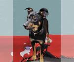 Small #1 Breeder Profile image