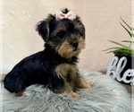 Image preview for Ad Listing. Nickname: Hallie