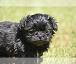 Image preview for Ad Listing. Nickname: Ireland