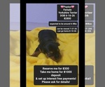 Image preview for Ad Listing. Nickname: Payton