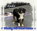 Image preview for Ad Listing. Nickname: Andie