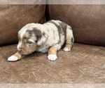 Image preview for Ad Listing. Nickname: Merle