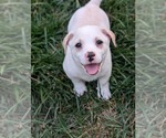 Small #4 Jack Chi