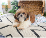 Image preview for Ad Listing. Nickname: Theon