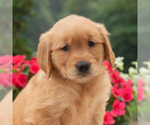 Image preview for Ad Listing. Nickname: Kanisha