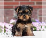 Image preview for Ad Listing. Nickname: Jack
