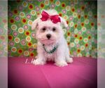 Image preview for Ad Listing. Nickname: Rhonda