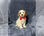 Image preview for Ad Listing. Nickname: Ryan