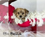 Image preview for Ad Listing. Nickname: Bella