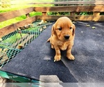 Image preview for Ad Listing. Nickname: Girl 2