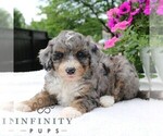 Image preview for Ad Listing. Nickname: Lucy