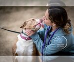 Small #6 Australian Shepherd-Catahoula Leopard Dog Mix