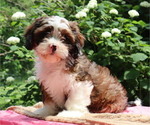 Image preview for Ad Listing. Nickname: Freya