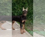 Image preview for Ad Listing. Nickname: Baby
