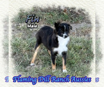 Image preview for Ad Listing. Nickname: Fin