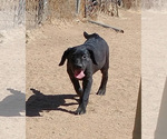 Image preview for Ad Listing. Nickname: Cassie