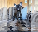 Image preview for Ad Listing. Nickname: Stella