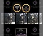 Puppy Dollie AKC Poodle (Toy)