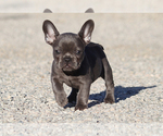 Image preview for Ad Listing. Nickname: Dina