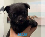 Small Chug