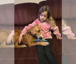 Small #2 American Pit Bull Terrier Mix