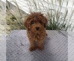 Image preview for Ad Listing. Nickname: Scott