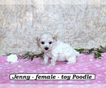 Image preview for Ad Listing. Nickname: Jenny