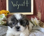 Image preview for Ad Listing. Nickname: Wyatt