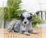 Image preview for Ad Listing. Nickname: Rachel