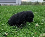  - Photo #5
