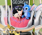 Image preview for Ad Listing. Nickname: Georgia