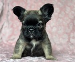 Image preview for Ad Listing. Nickname: Sadie