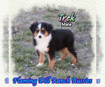 Image preview for Ad Listing. Nickname: Trek