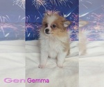Image preview for Ad Listing. Nickname: Gemma
