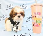 Image preview for Ad Listing. Nickname: Litter of 5