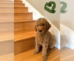 Image preview for Ad Listing. Nickname: Green