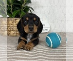 Image preview for Ad Listing. Nickname: Meatball